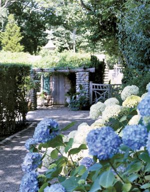 Blue and white photos - Countryliving.com - Nikko Blue and white Annabelle hydrangeas.jpg